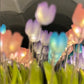 Cloud Tulip Mirror Lamp